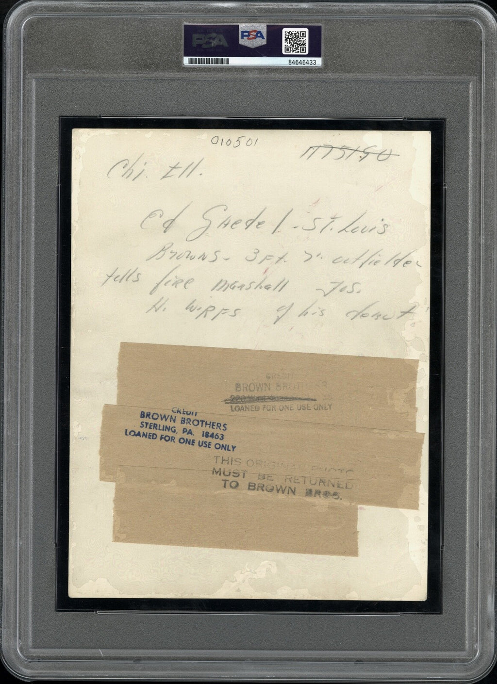 Eddie Gaedel 1951 St. Louis Browns Talks his Debut Type 1 Original Photo PSA/DNA
