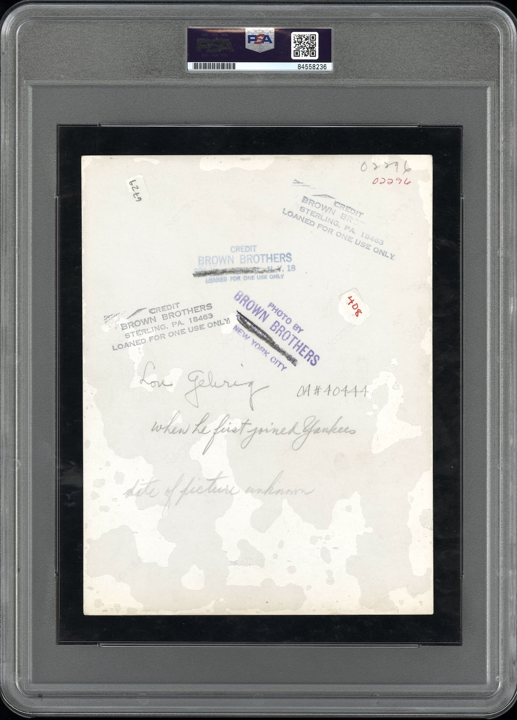 Lou Gehrig 1923 Rookie Type II Original Photo PSA/DNA