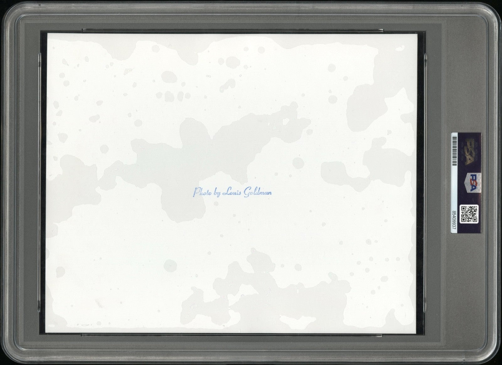 Share Steven Spielberg 1975 Jaws Movie Type 1 Original Photo PSA/DNA Crystal Clear!
