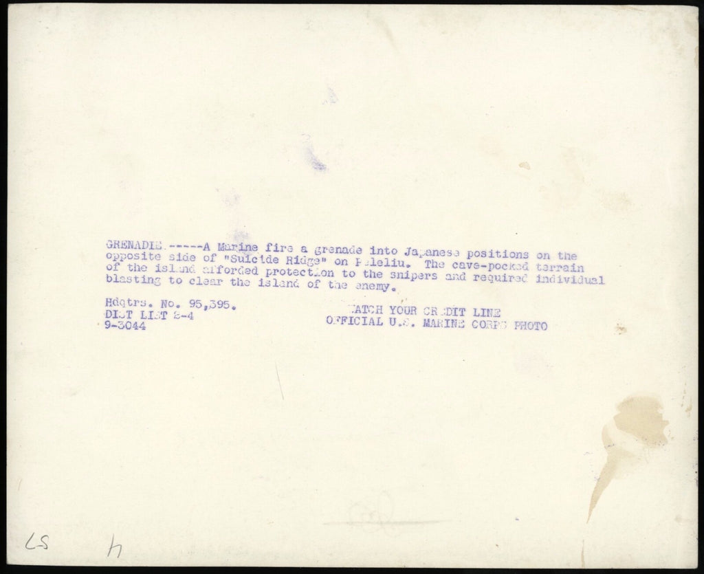 1944 WWII "Suicide Ridge" Peleliu USMC Firing Grenades Type 1 Original Photo