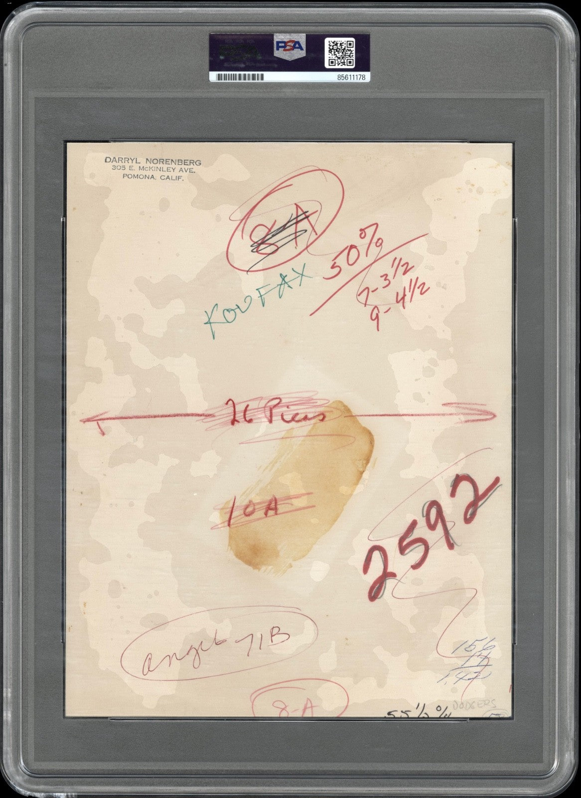 Sandy Koufax 1965 Dodgers Type 1 Original Photo PSA/DNA Incredible Single Shot!