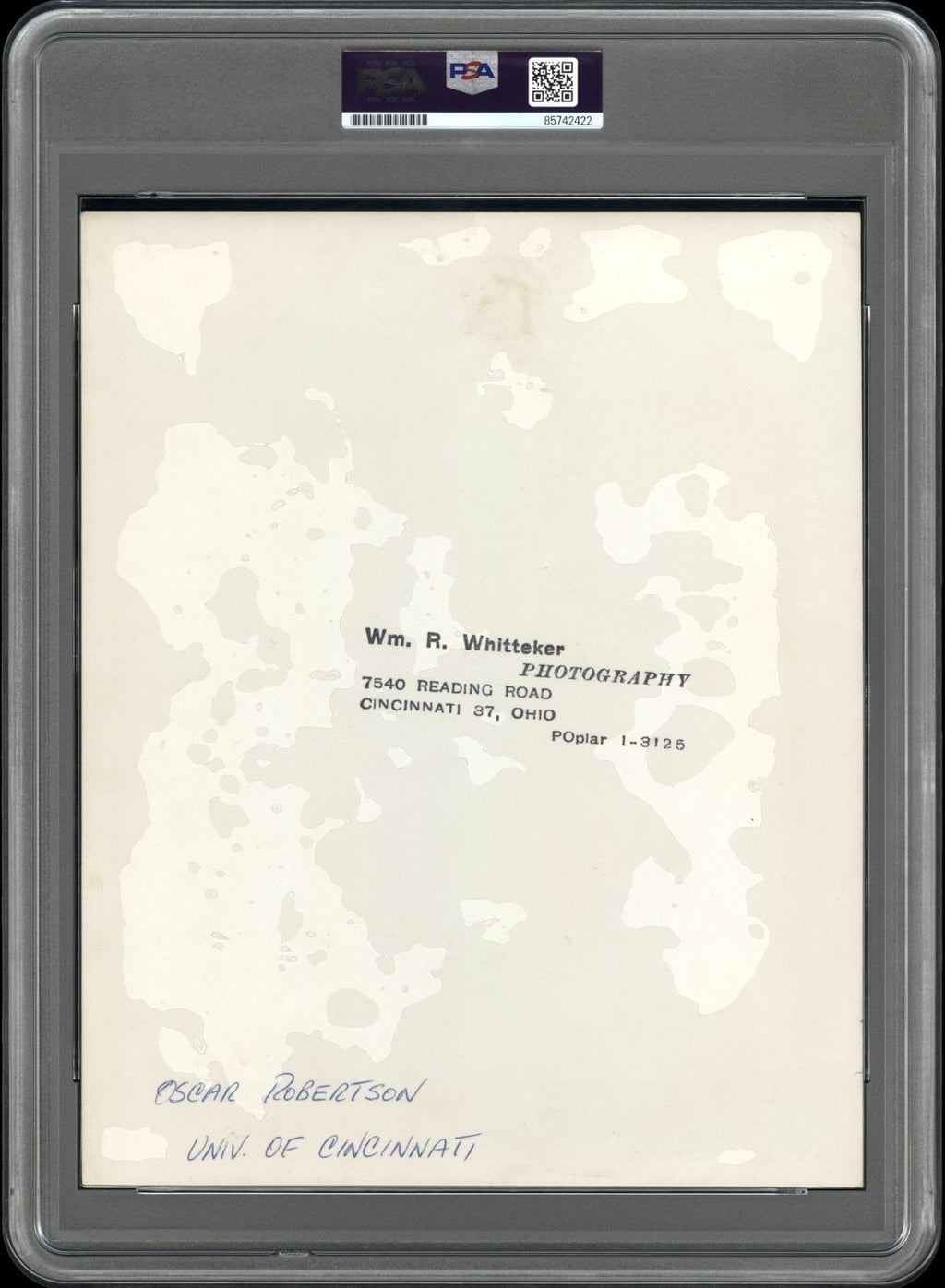Oscar Robertson 1959 Cincinnati NCAA Type 1 Original Photo PSA/DNA Crystal Clear