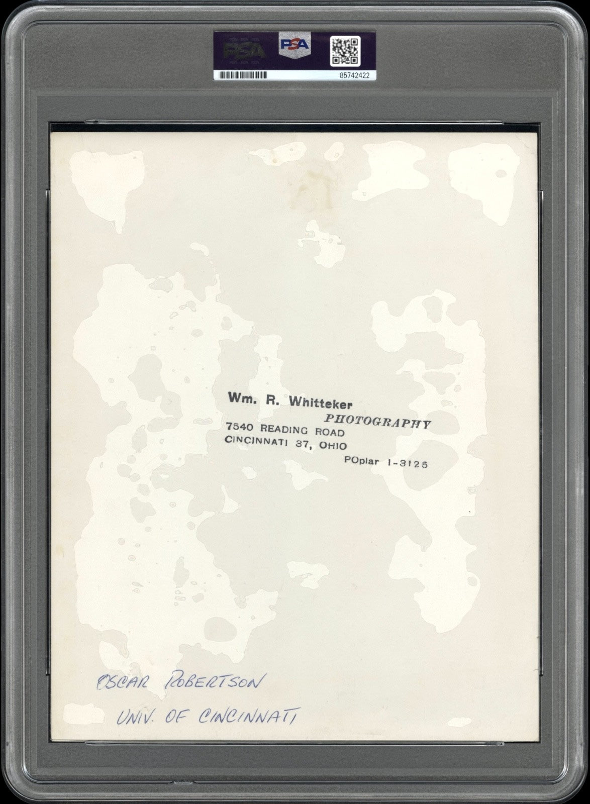Oscar Robertson 1959 Cincinnati NCAA Type 1 Original Photo PSA/DNA Crystal Clear