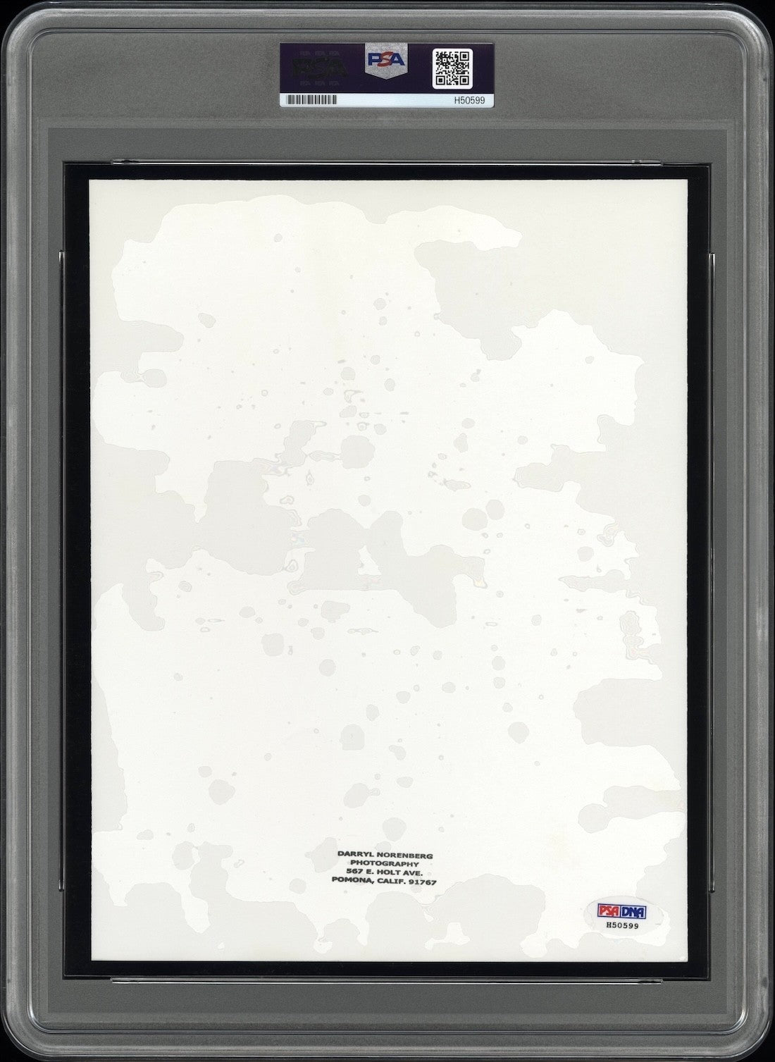 Sandy Koufax 1963 LA Dodgers Type 1 Original Photo PSA/DNA *VERY ARTISTIC*